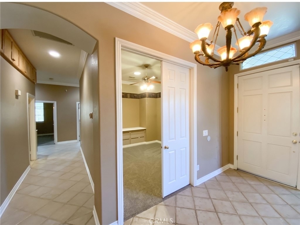 810 Clear Springs Drive - Photo 6