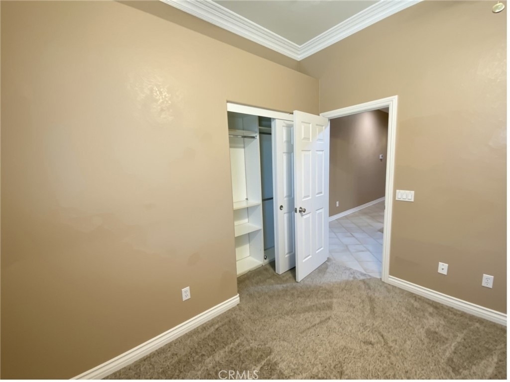 810 Clear Springs Drive - Photo 17