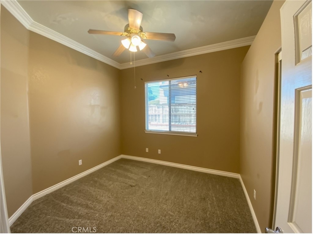 810 Clear Springs Drive - Photo 16