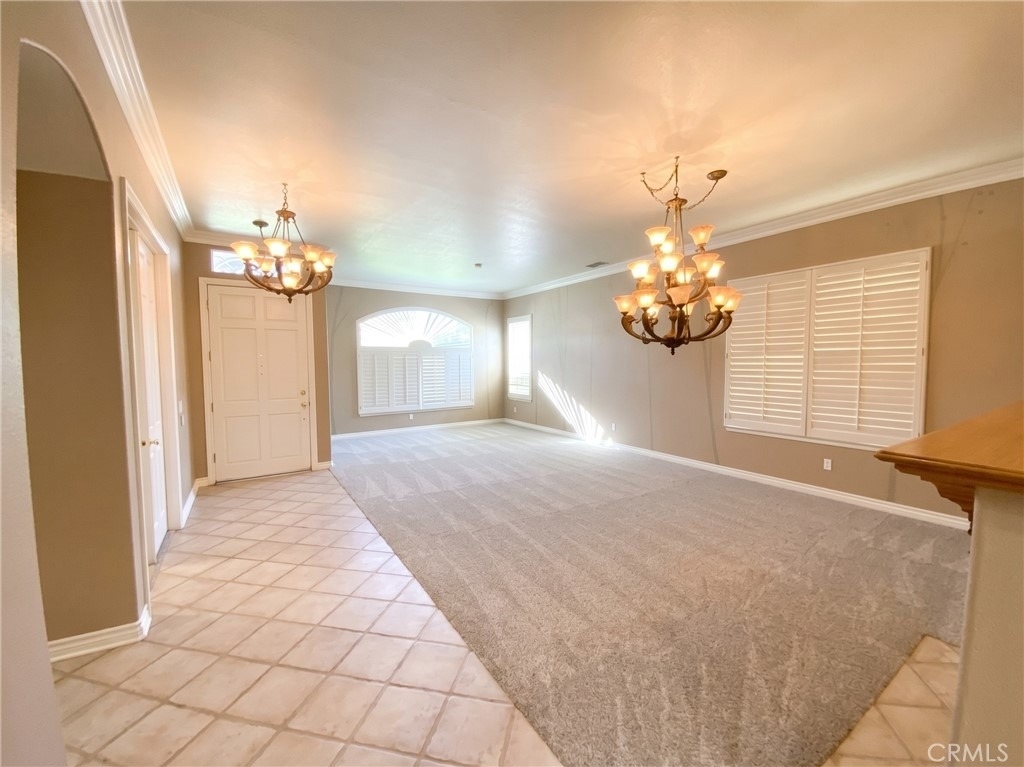 810 Clear Springs Drive - Photo 3
