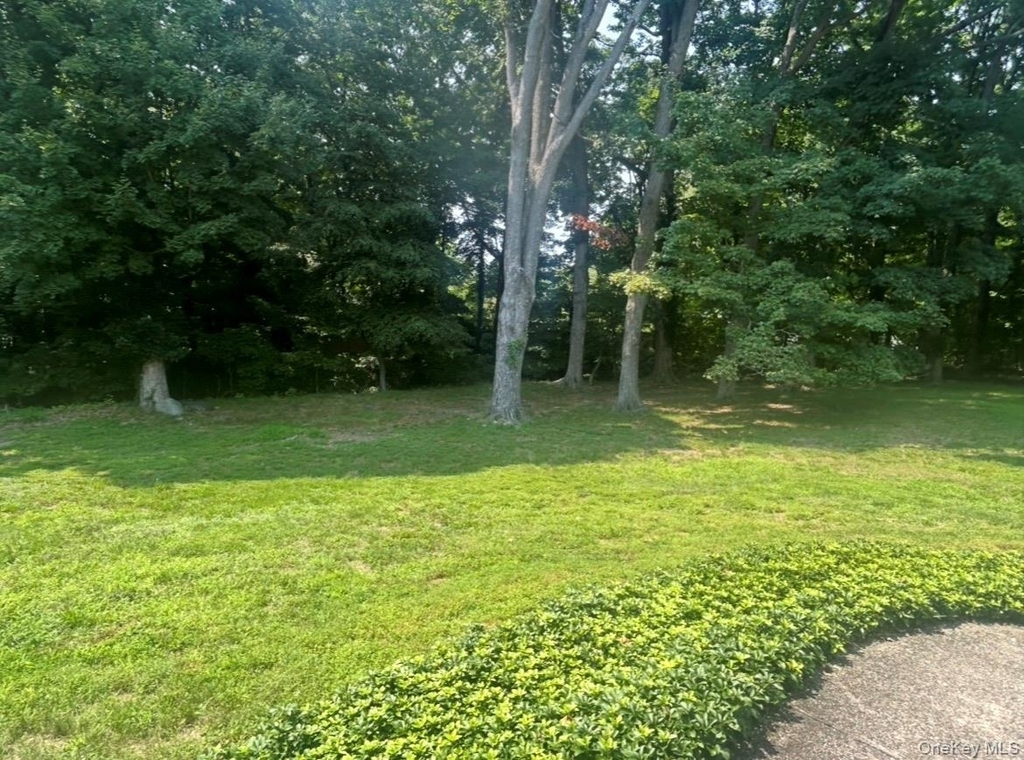 40 Maplewood Drive - Photo 31