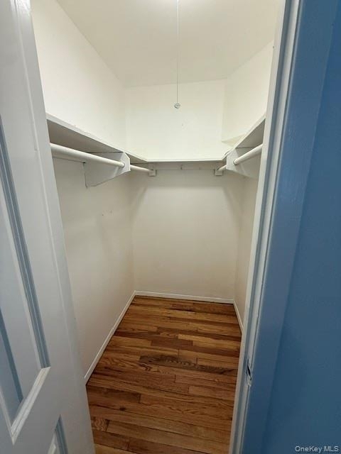137-29 81st Street - Photo 13