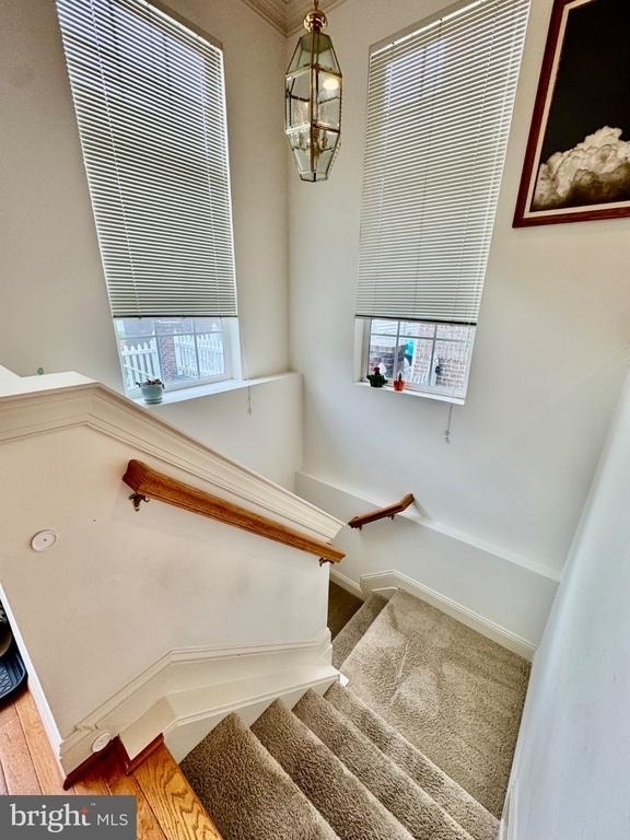 23517 Gardenside Place - Photo 16