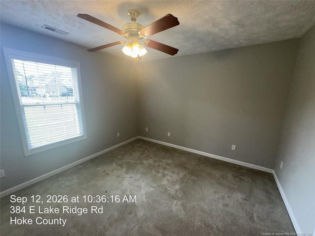 384 E Lake Ridge Road - Photo 18
