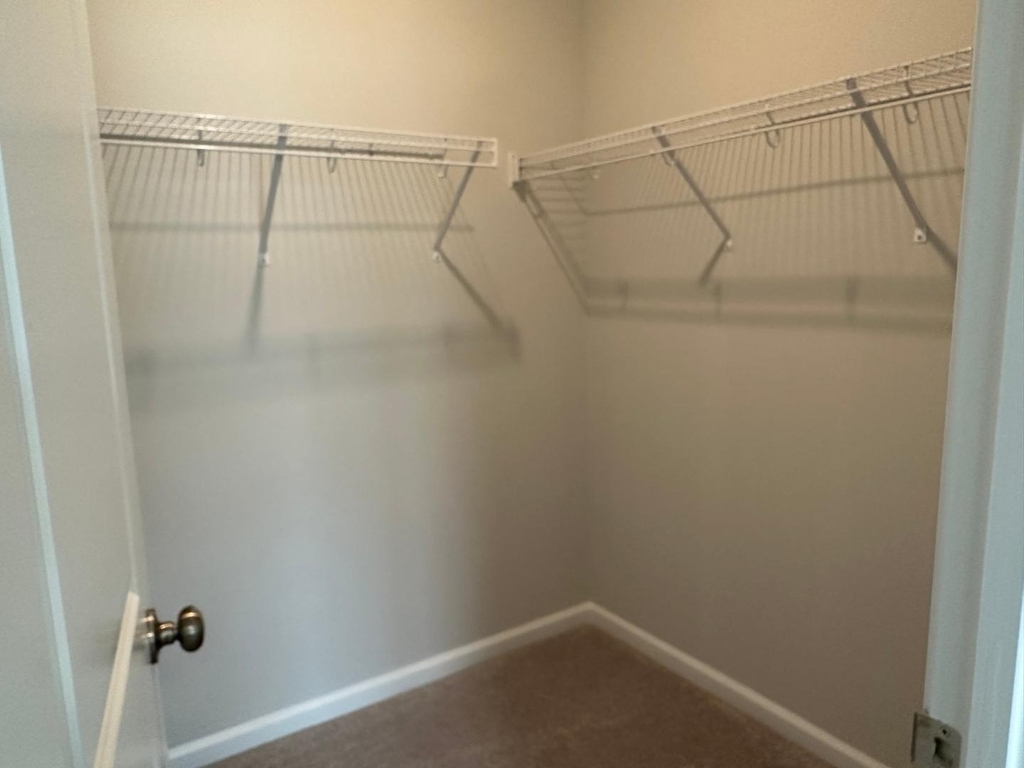 1106 Harmony Trail - Photo 14