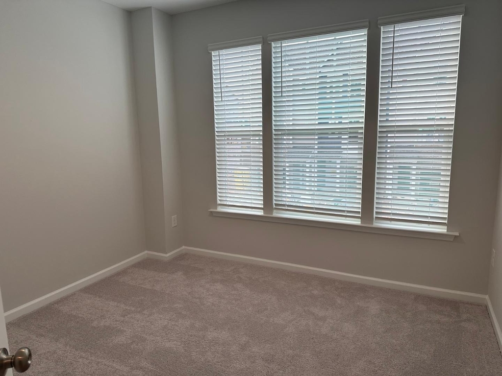 1106 Harmony Trail - Photo 11