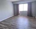 350 Plum Creek Drive - Photo 5