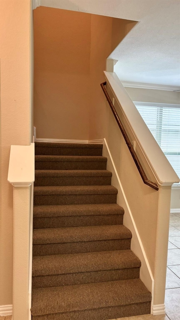 10914 Camarillo Court - Photo 15
