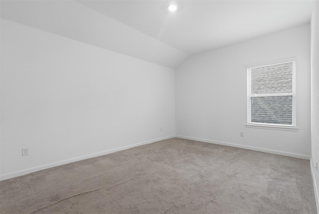 7214 Cordgrass Prairie Lane - Photo 19