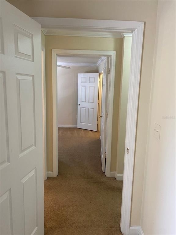 18123 Sterling Gate Circle - Photo 44