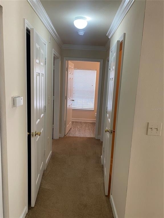 18123 Sterling Gate Circle - Photo 35