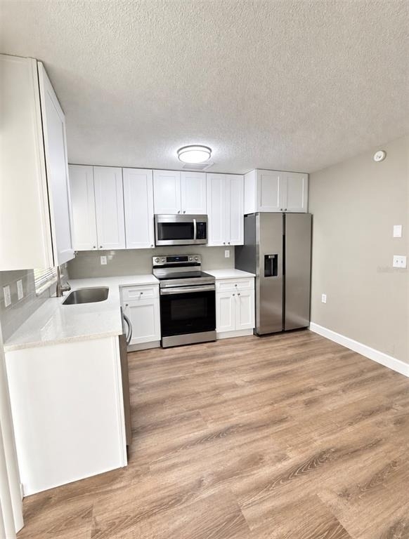7316 Ivory Terrace - Photo 2