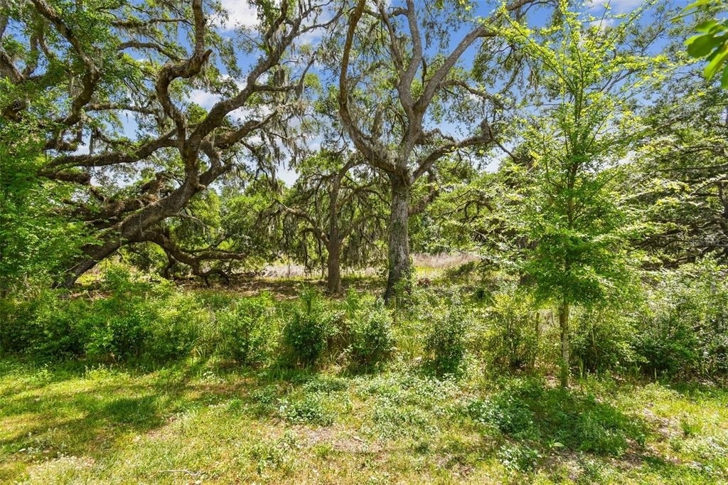 30814 Veridian Way - Photo 78