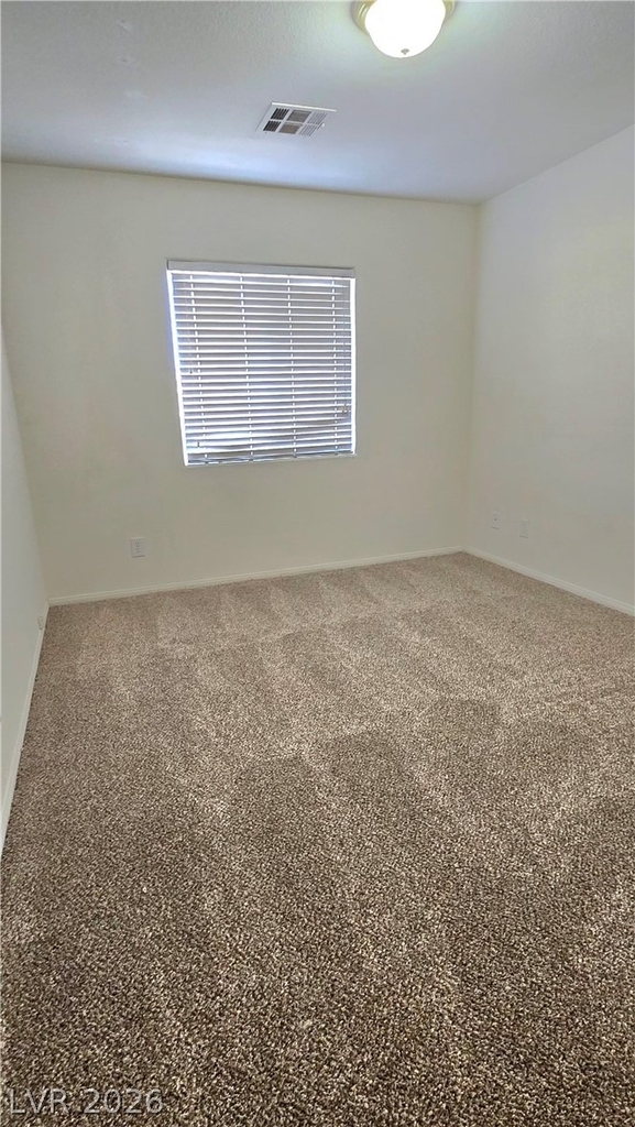 9063 Spring Star Court - Photo 13