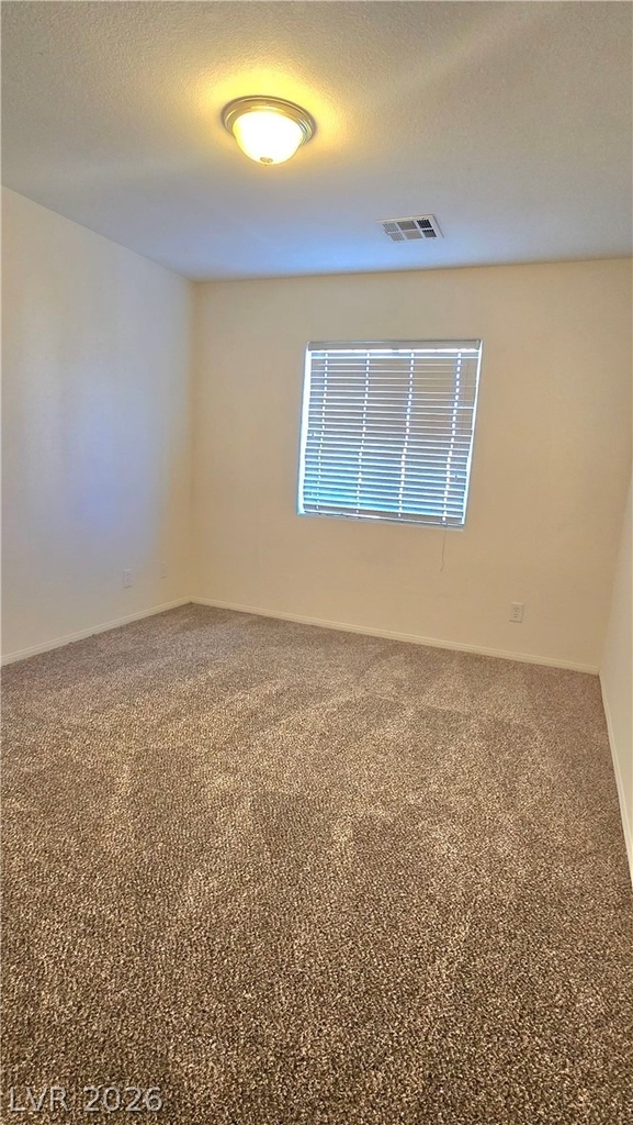 9063 Spring Star Court - Photo 14