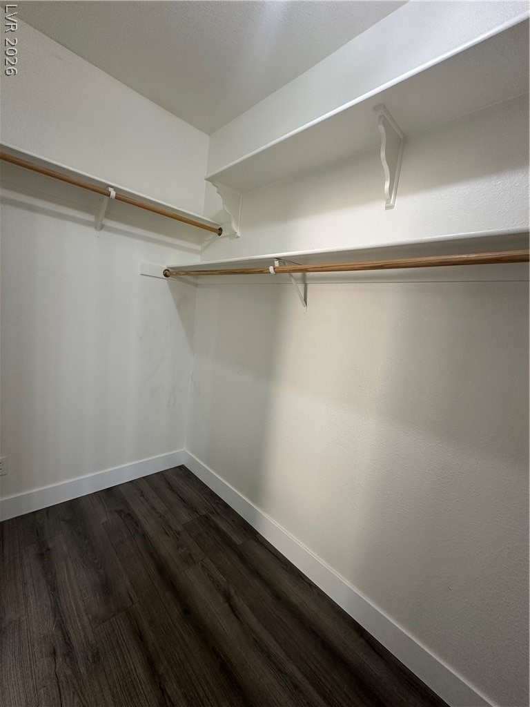 11106 Evvie Lane - Photo 22
