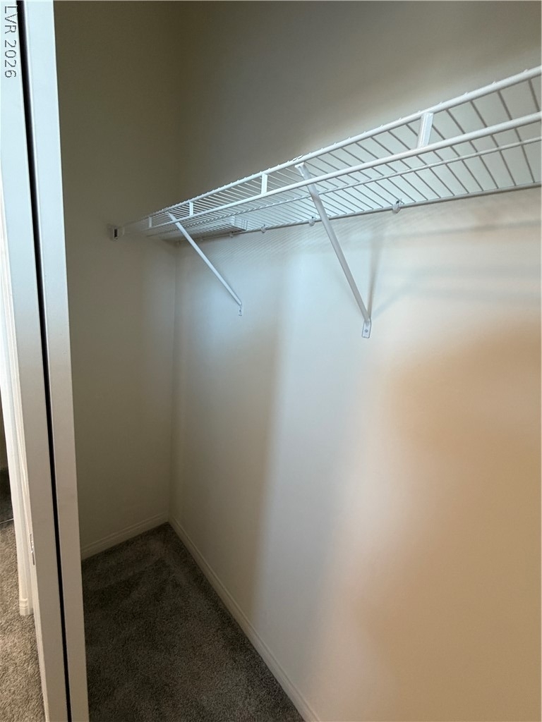 11836 Black Canary Avenue - Photo 32