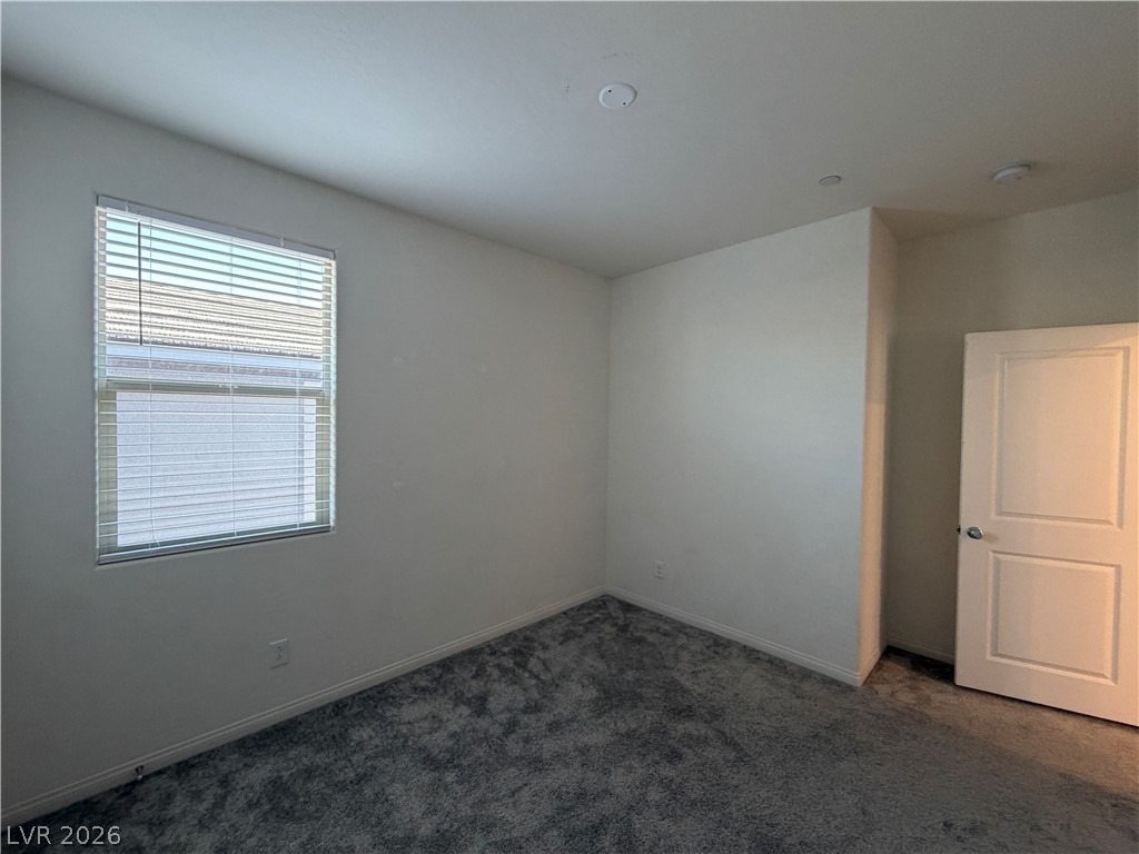 11836 Black Canary Avenue - Photo 28