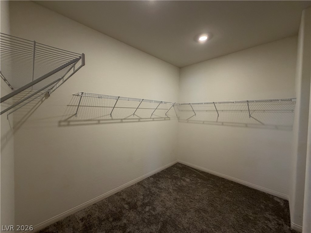 11836 Black Canary Avenue - Photo 24
