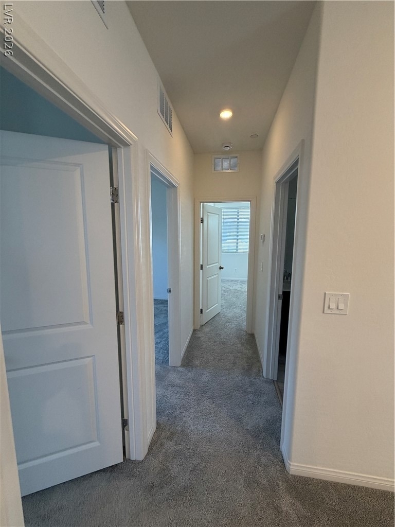 11836 Black Canary Avenue - Photo 26