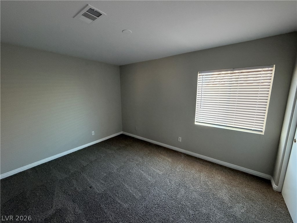8884 Sparkling Creek Avenue - Photo 11