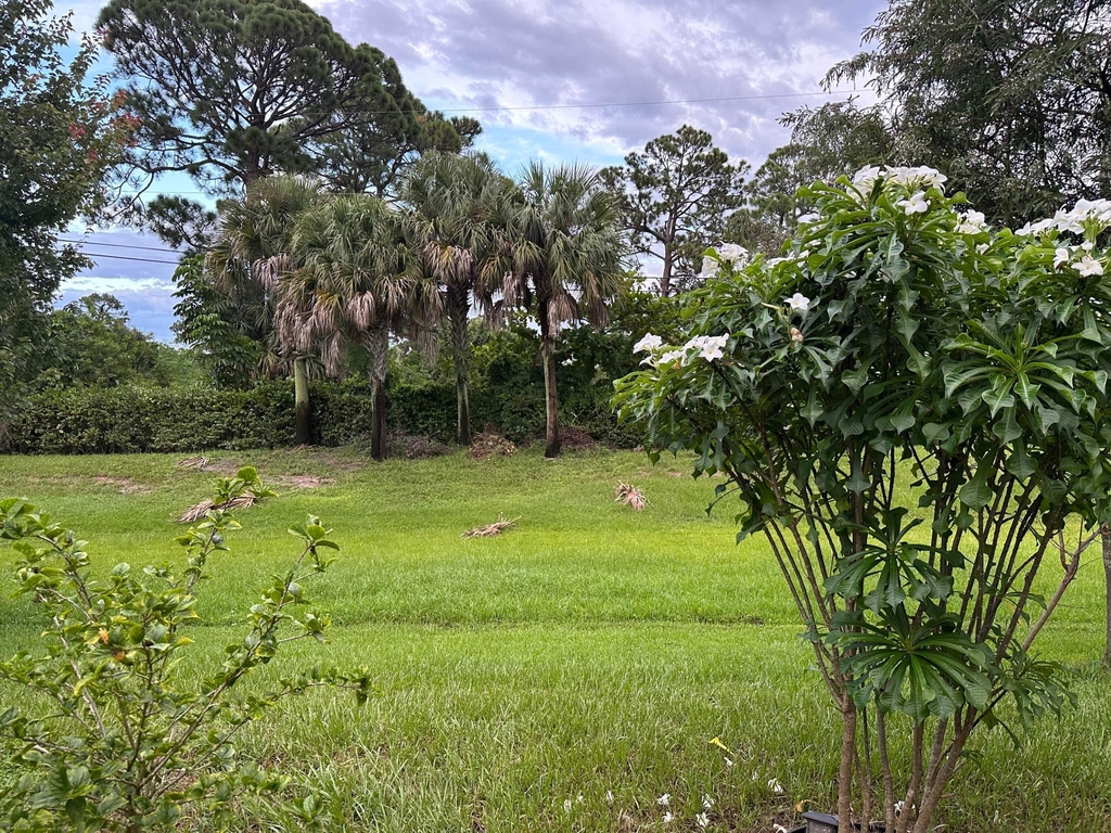 3779 Whitney Park Lane - Photo 22