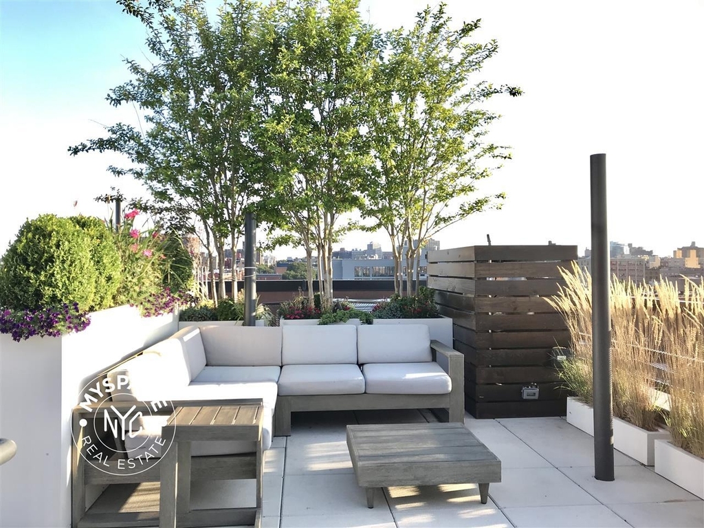 1068 Fulton Street - Photo 8