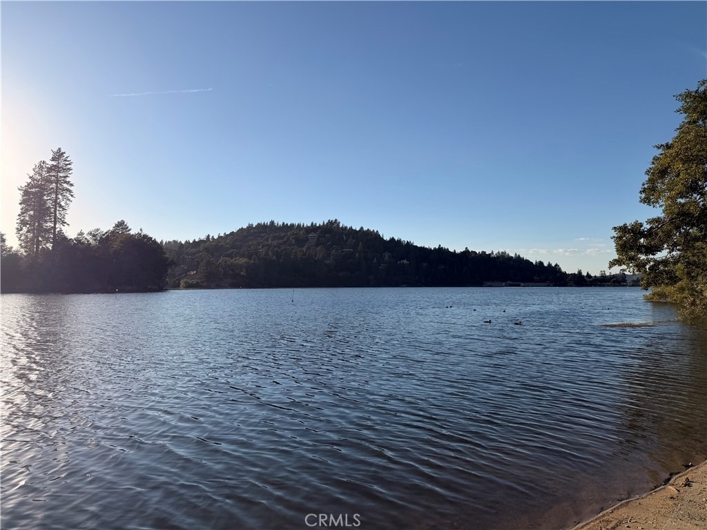 23783 Bowl Road - Photo 41