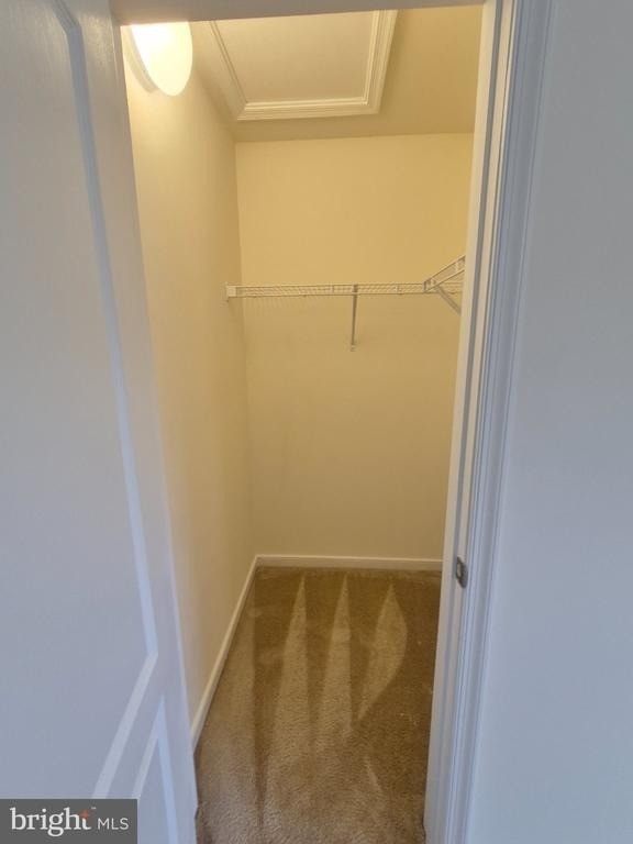 15 Sweet William Drive - Photo 22