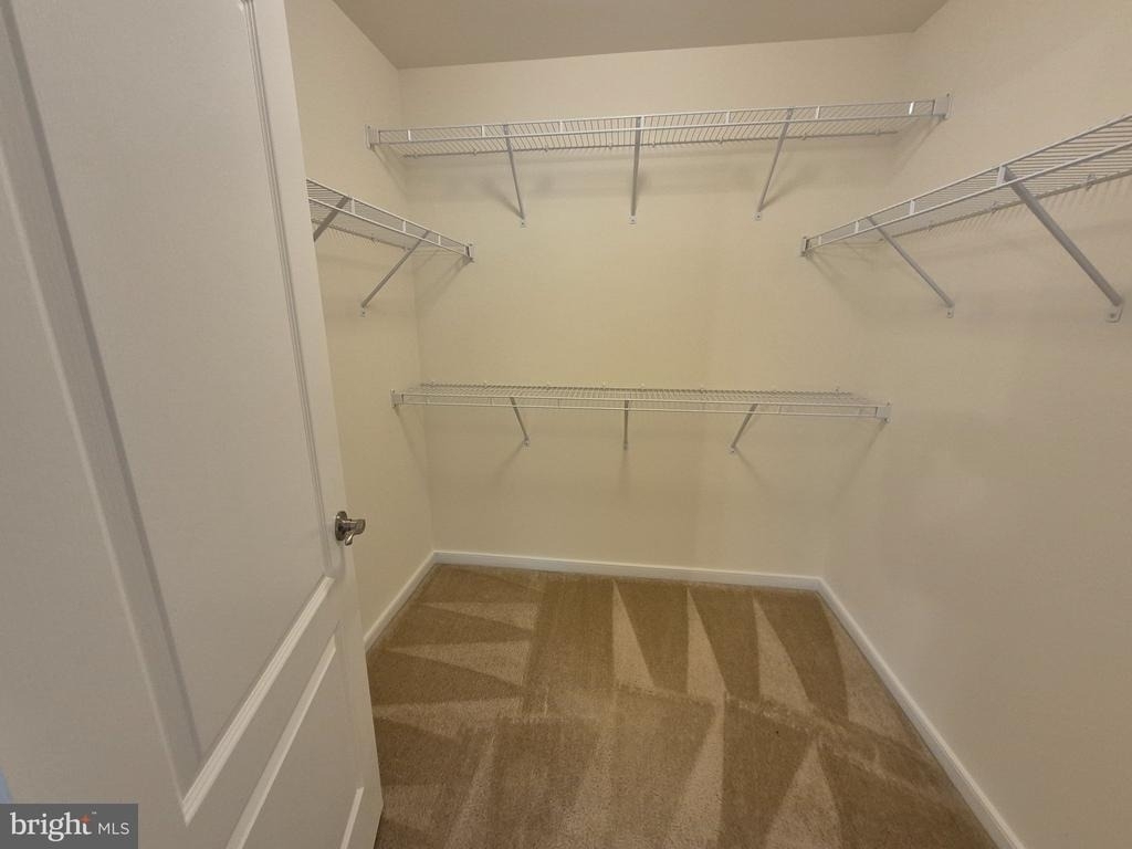 15 Sweet William Drive - Photo 33