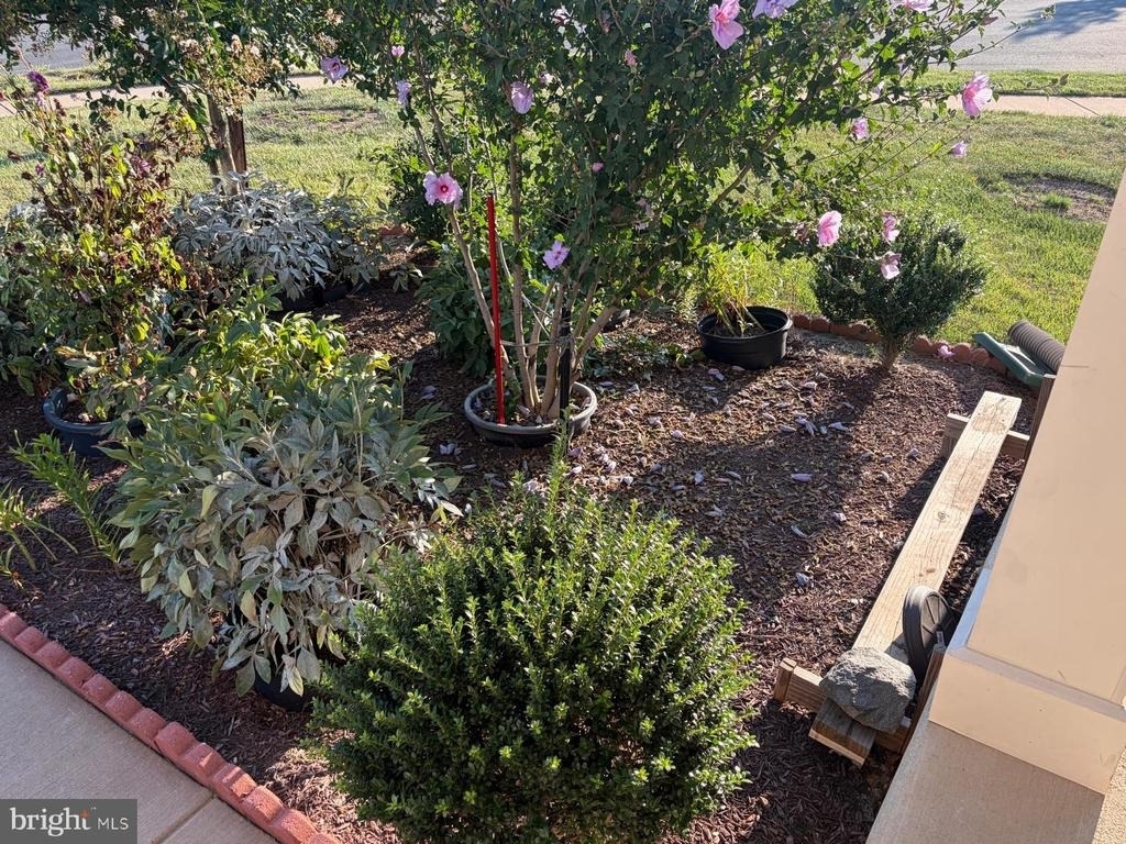 7546 Mint Springs Court - Photo 48