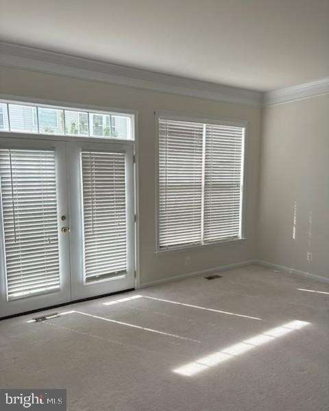 8251 Purple Lilac Circle - Photo 4