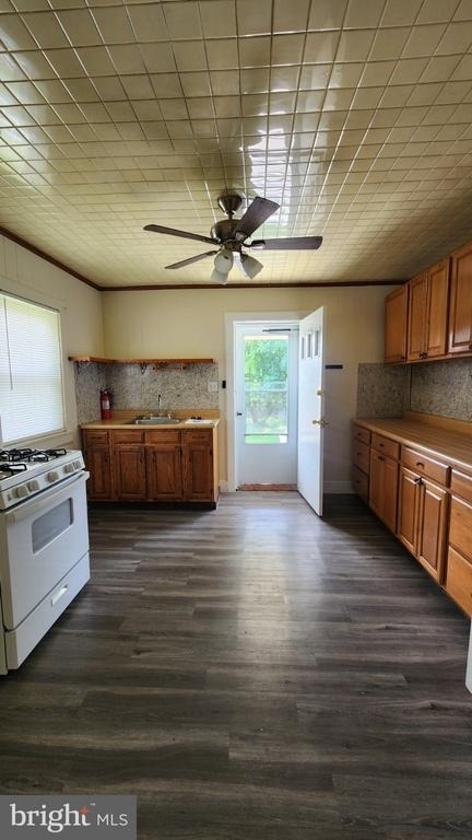 397 Oriole Avenue - Photo 1