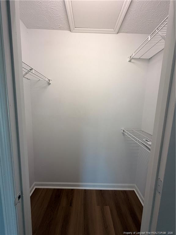 173 Centipede Lane - Photo 4