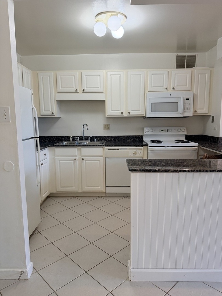 211 E Ohio Street - Photo 12