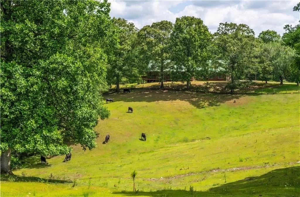 3806 Ball Ground Road - Photo 4