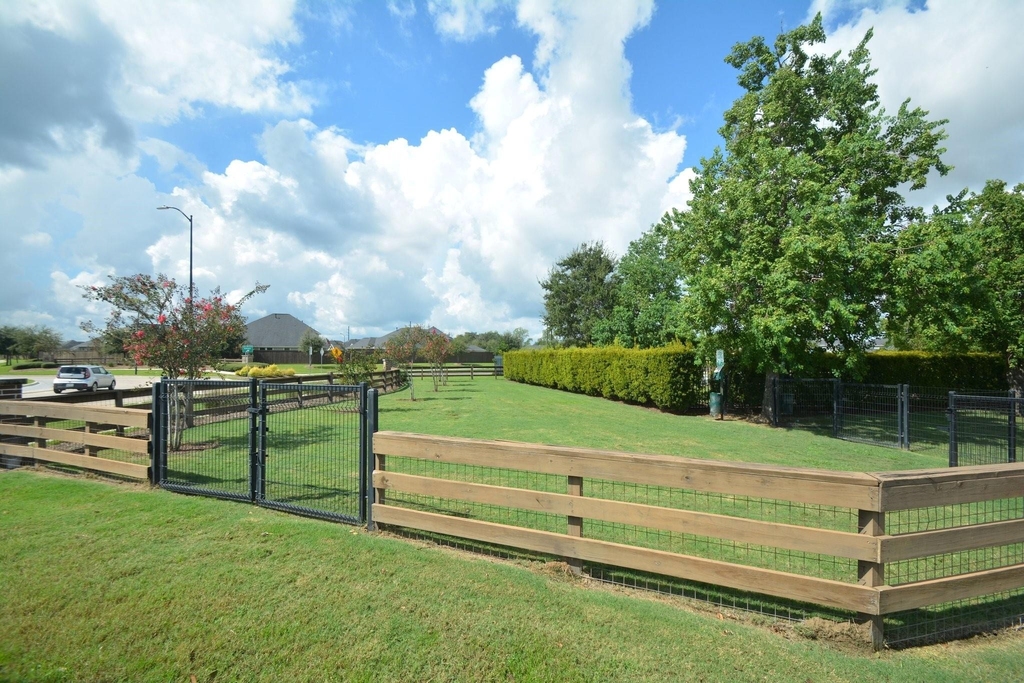 31307 Brown Fern Drive - Photo 34