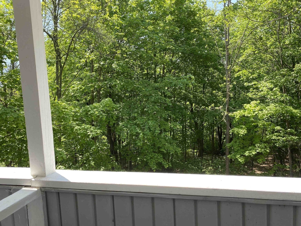 22.5 West High - Photo 23