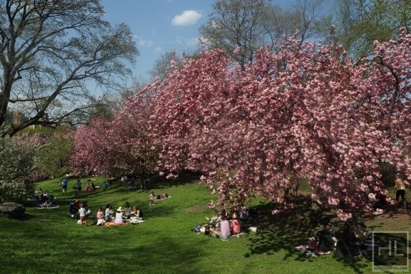East 59 Street - Photo 7