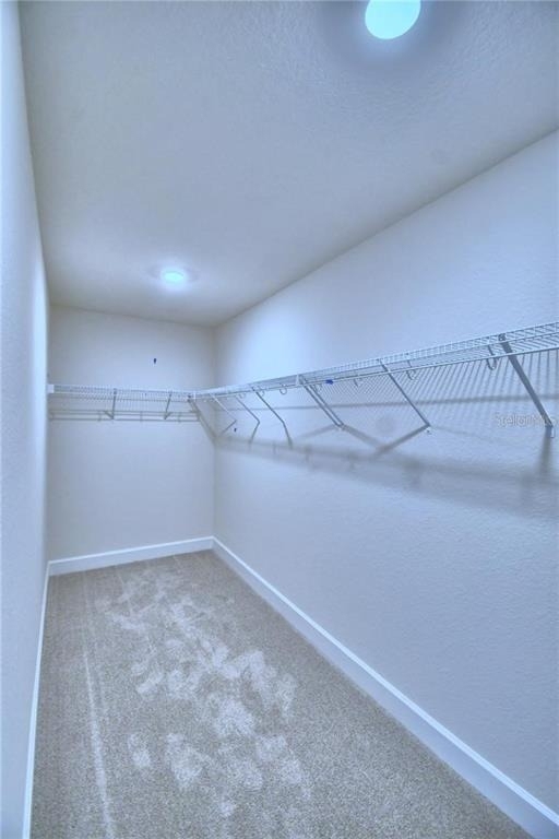 906 Sofia Lane - Photo 30