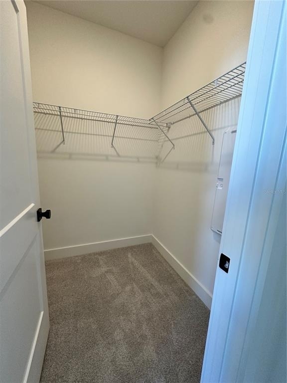 5783 Citrus Park Drive - Photo 25