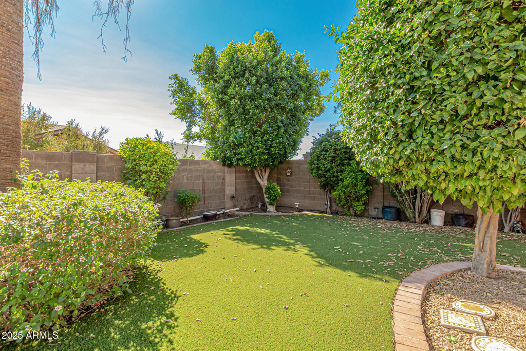 6243 W Cholla Street - Photo 43