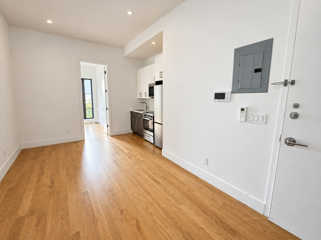 437 Dekalb Avenue - Photo 0