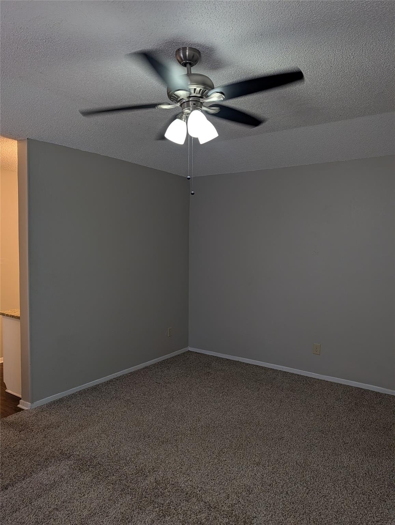 7258 Church Park Drive - Photo 12