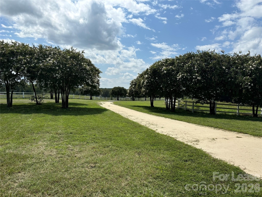 2417 Lynwood Drive - Photo 8