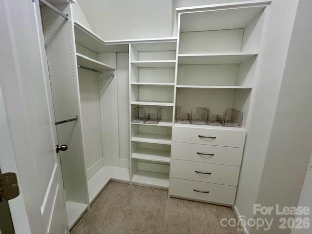 8245 Viewpoint Lane - Photo 18