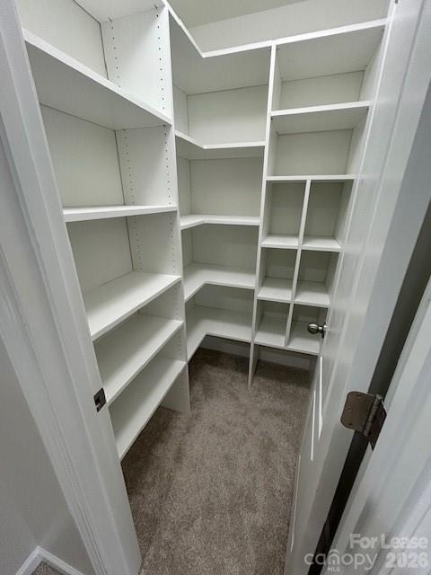 8245 Viewpoint Lane - Photo 22