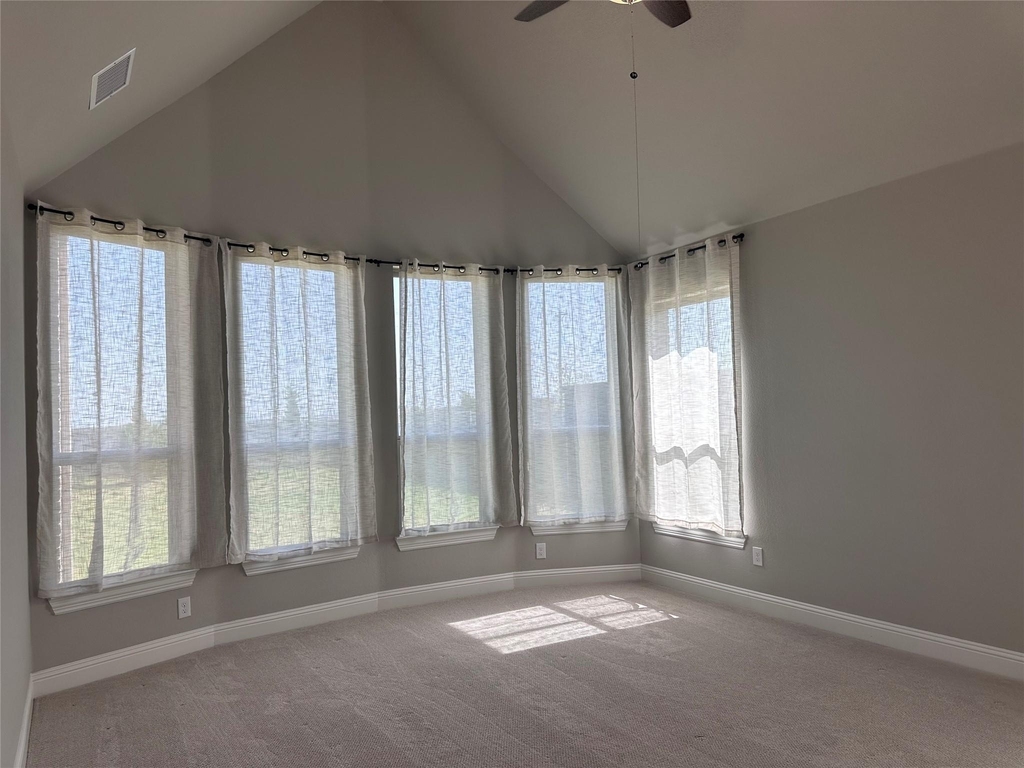 2608 Roaming Trail - Photo 5