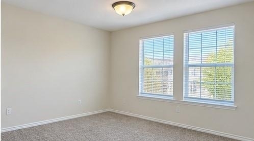 703 Parkplace Ridge - Photo 5