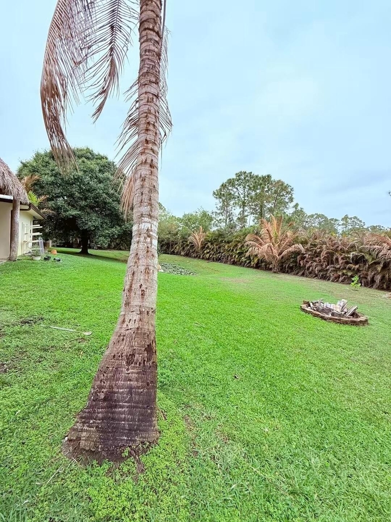 13383 Temple Boulevard - Photo 22